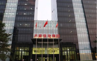 大家保险
